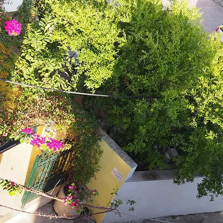 Prokimea Seaview * Лефкада